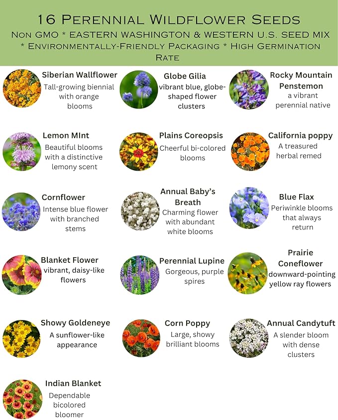 Eastern Washington Wildflower Seed Mix, 1 lb Covers 3,200 sq ft, Multi-Color Blooms, Spring and Fall Planting (1/2 Pound)