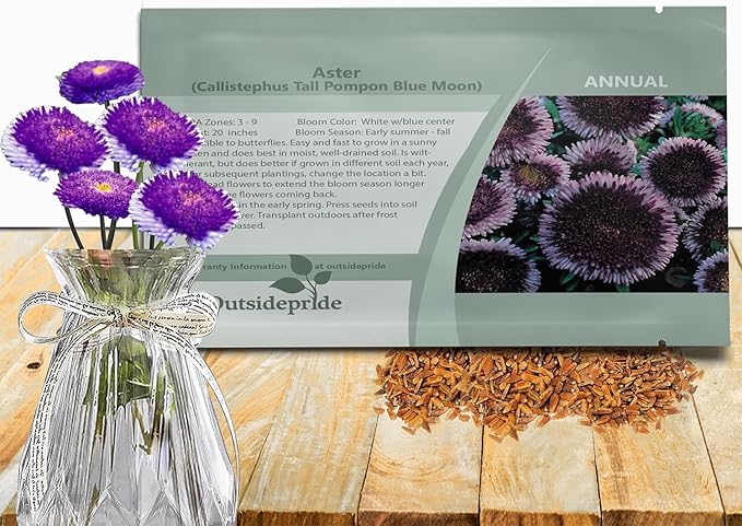 Outsidepride Tall Pompon Blue Moon Aster Seeds - 2000 Pcs. Annual, Hardy & Pollinator Friendly Flower Seeds for Planting Vibrant Disc-Shaped White-Blue Blooms, Ideal for Meadows & Aesthetic Gardens