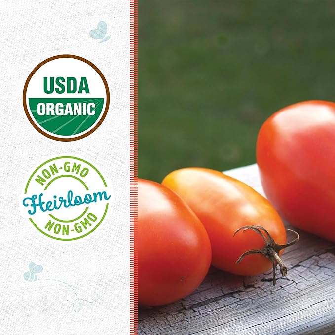 Back to The Roots 100% Organic Seed Packet - Tomato 'Roma' 140mg