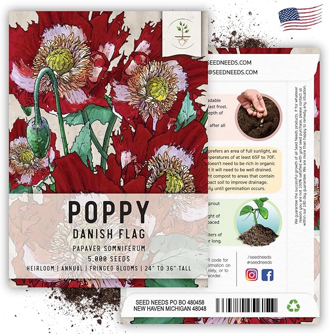 Seed Needs Danish Flag Poppy Seeds for Planting - Heirloom & Open Pollinated Annual Flowers - Attracts Pollinators/Butterflies to a Butterfly Garden (5 Packs)