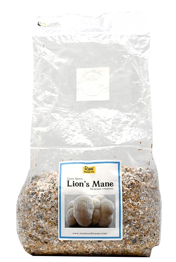 Mushroom Spawn-Lion's Mane Grain Spawn (NOT A GROW KIT)