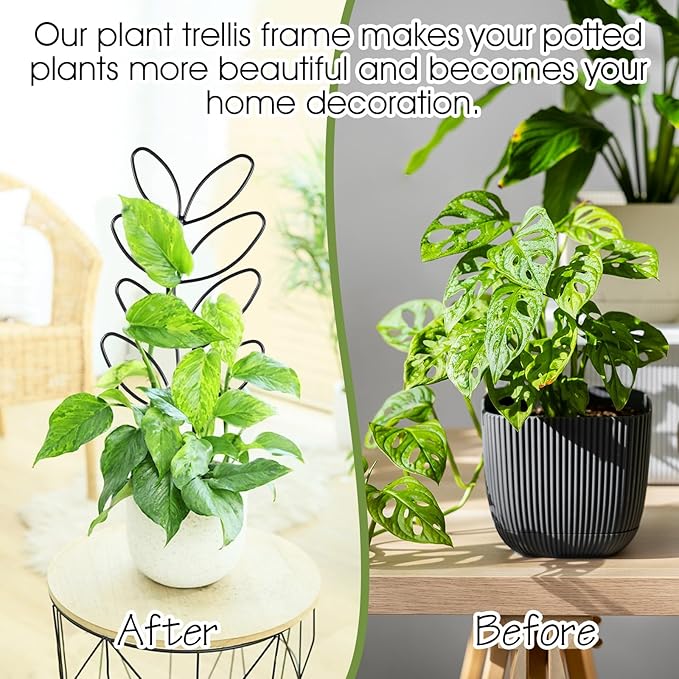 4 Pack Small Plant Trellis for Climbing Plants Indoor, 12 inch Plastic Trellis for Potted Plants Houseplant Trelli, Mini Climbing Plant Support for Houseplant Flower Hoya Pothos, Black
