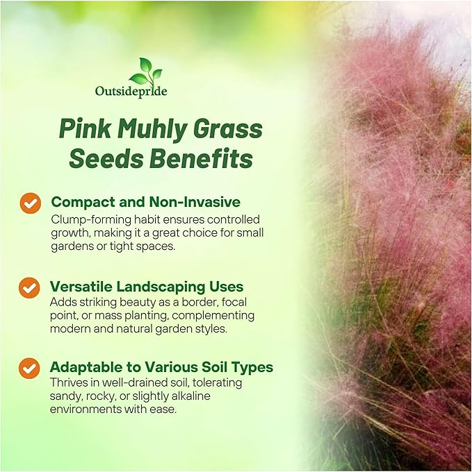Outsidepride Pink Muhly Ornamental Grass Seeds - 100 Pcs, Perennial, Drought Tolerant, Low Maintenance, Ornamental Tall Grass Plants, Fast Growing for Landscaping, Outdoor Garden, Privacy Plants