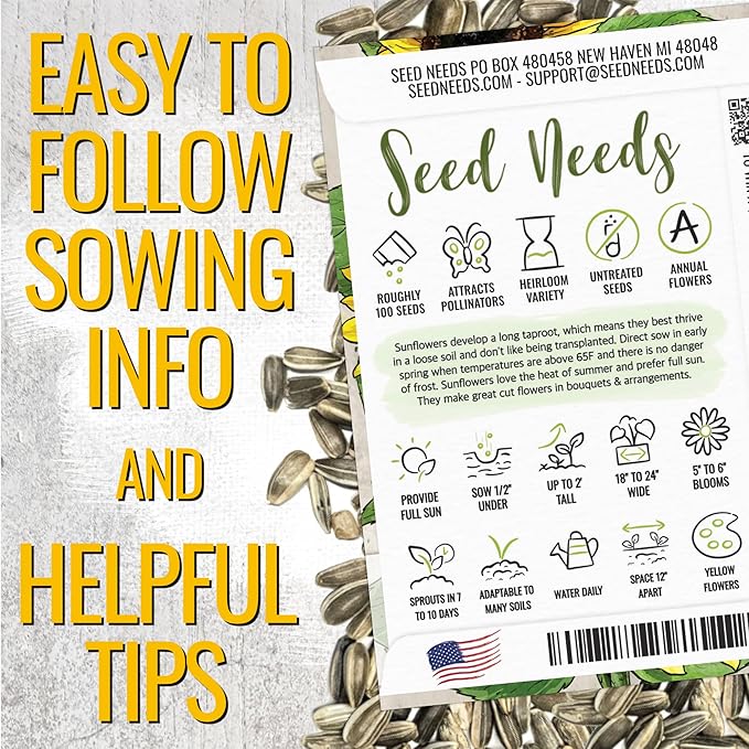 Seed Needs Dwarf Sunflower Seeds for Planting Yellow Pygmy Sunflowers - Heirloom & Open Pollinated Annual Cut Flowers - Perfect for Butterfly Gardens (5 Packs)