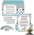 CHOOBLY | Boy Baby Shower Favors for Guests | 20 Wildflower Seeds Packets | Pre-Filled | Bouquet Seed Mix | Non-GMO Seeds | Seed Pack Party Favors | Oh Baby | Gifts (Boy)