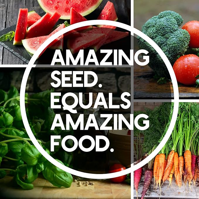 10 Assorted Organic Vegetable Seeds for Planting - ~3,200 + Heirloom Non-GMO Fruit Seeds, Herb Seeds, & Vegetable Seeds - with Grow Guide - Broccoli, Basil, Watermelon, Cilantro, Carrot, Kale, & More