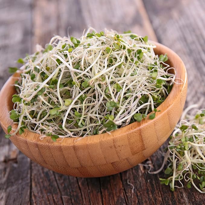 Organic Broccoli Sprouting Seeds by Handy Pantry | 4 oz. Resealable Bag | Non-GMO Broccoli Sprouts Seeds, Contain Sulforaphane