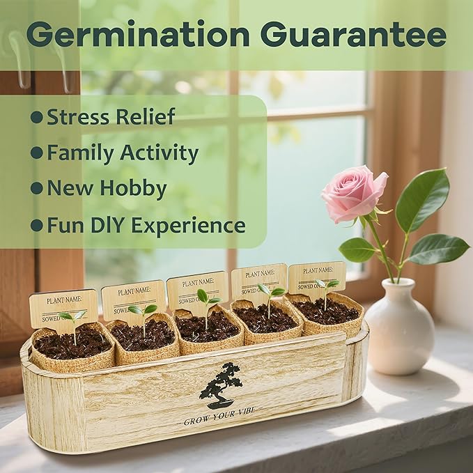 LUOJIBIE Bonsai Tree Kit for Beginners - Unique DIY Japanese Bonsai Trees,Crafts for Adults, Ideal Gardening Birthday Gift for Women & Men,Complete Indoor Plant Kit