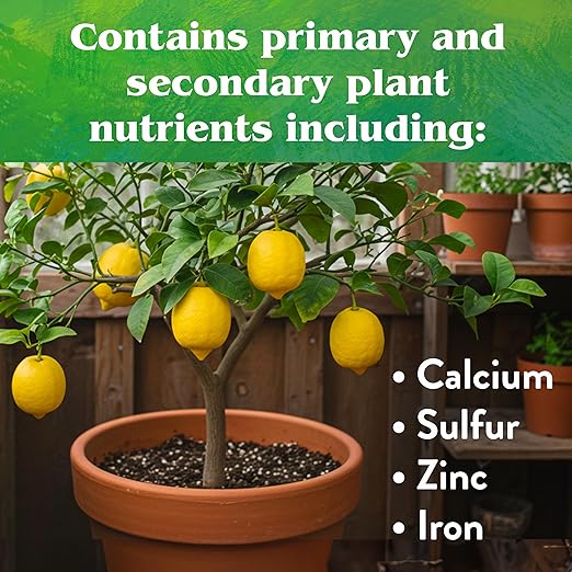 Down To Earth All Natural Fertilizers Organic Citrus Mix - Plant Food for Lemons, Limes, Oranges and Avocados 6-3-3, 1 lb