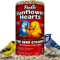 100% Sunflower Hearts for Birds – Premium Bird Seed Cylinders with Hole – Hulled Sunflowers Bird Seed – Sunflower Chips for Birds - Attracts Various Songbirds – No Mess Birdseed, USA Made (4" x 7.75")