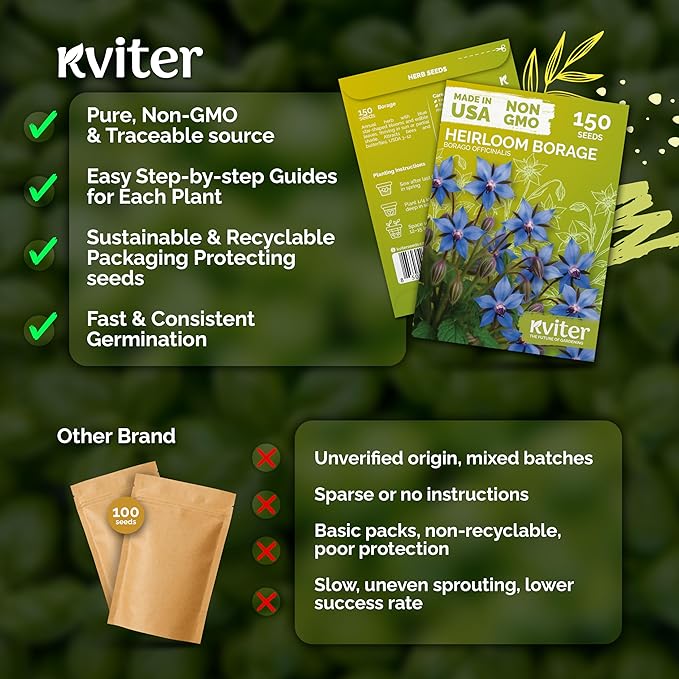 KVITER 150 Borage Seeds (Borago officinalis) - Blue Strawflower, Edible Flower for Teas, Attracts Pollinators - Organic & Heirloom Herb Seeds for Planting in Outdoor & Indoor Garden, Beds, Containers
