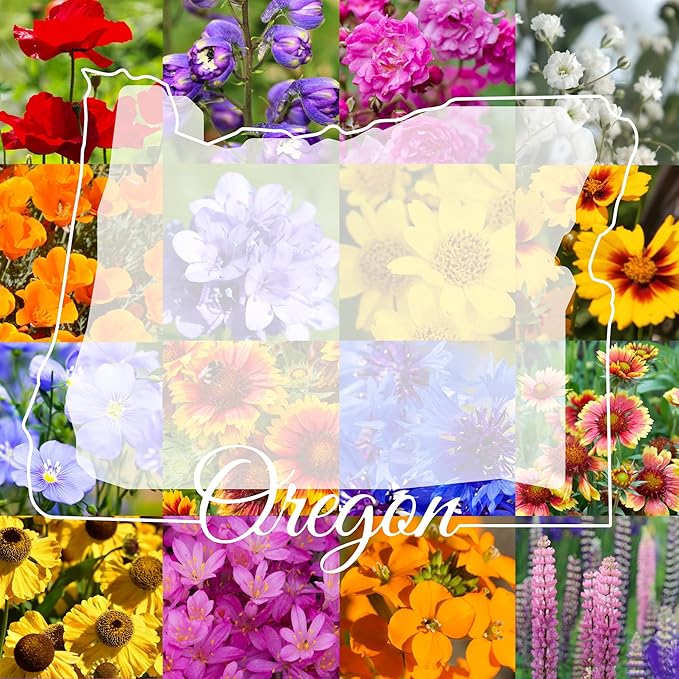 Eastern Oregon Wildflower Seed Mix, 1 lb Covers 3,200 sq ft, Multi-Color Blooms, Spring and Fall Planting (1/2 Pound)