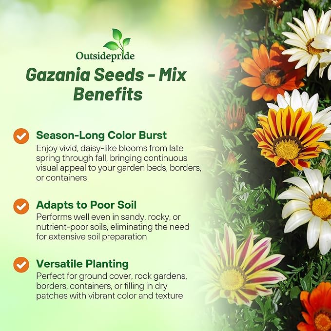 Outsidepride Mixed Gazania Seeds for Planting – 500 Pcs Perennial, Low-Maintenance, Drought-Tolerant Ground Cover Seeds for Vibrant Summer & Fall Flowers, Ideal for Outdoor Gardens