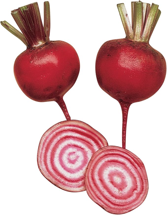 Burpee Chioggia Beet Seeds 200 seeds