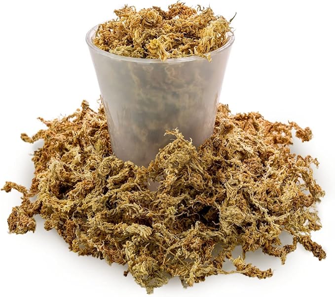 Gardenera Premium New Zealand Sphagnum Moss - Organic Hand Mixed Long Fibered Sphagnum Moss Orchid - 3 Quart