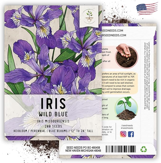 Seed Needs Wild Blue Iris Seeds for Planting Perennial Flowers - Heirloom & Open Pollinated Flower Seed to Plant an Outdoor Butterfly Garden (1 Pack)