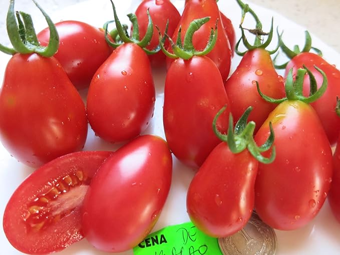CEMEHA SEEDS - Seeds Red De-Barao Tomato Determinate Non GMO Vegetable for Planting