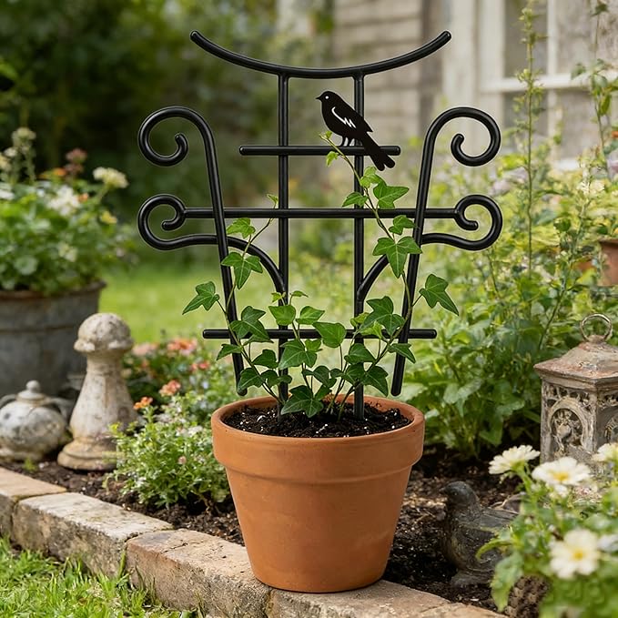 Small Trellis for Potted Plants, 2 Pack Metal Plant Trellis Indoor, 13.5 Inch Black Powder Coated Plant Support for Pothos, Monstera, Vine Ivy Flower, Decorative Indoor Plant Trellis for Potted Plants