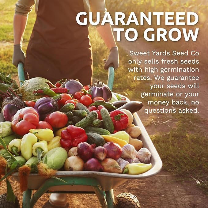 Organic Mixed Gourd Seeds – Two Seed Packets! Over 30 Open Pollinated Non-GMO Seeds – Sweet Yards Seed Co.