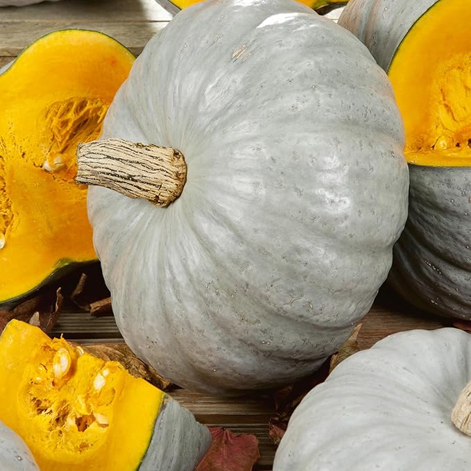 Sweet Keeper Winter Squash Seeds - 4 g Packet ~20 Seeds - Non-GMO, Heirloom - Vegetable Garden - Cucurbita Maxima