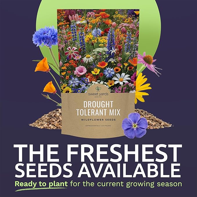Drought Tolerant Wildflowers Mix – Bulk Quarter Pound Bag – Over 30,000 Open Pollinated Non-GMO Seeds – 21 Different Dryland Species