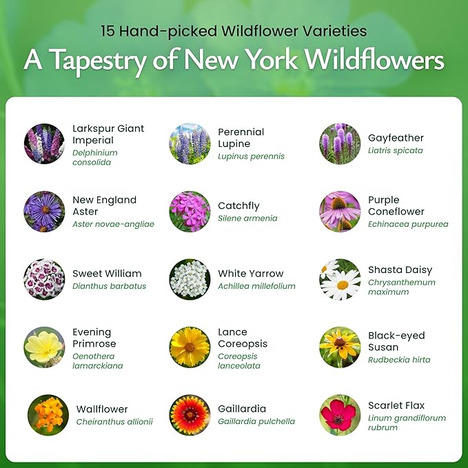 Created By Nature New York Wildflower Seed Mix, 15 Flower Variety, 50,000 Seeds