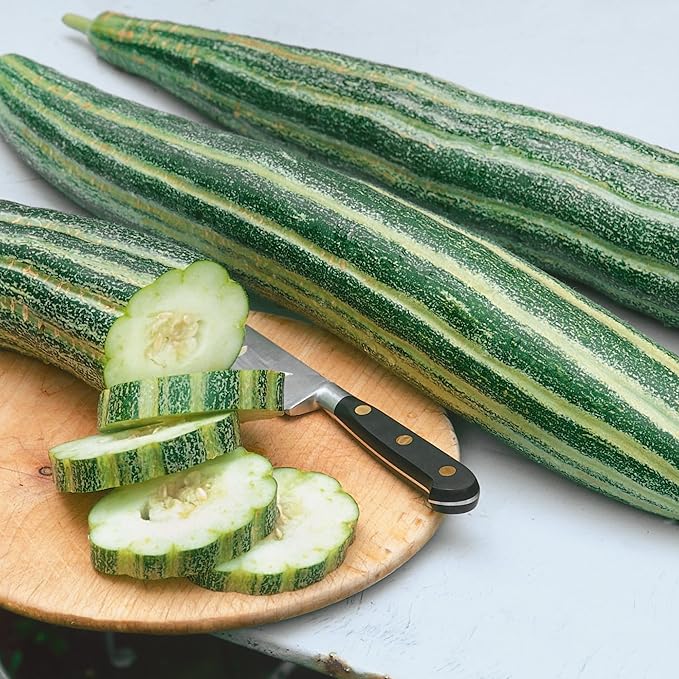 Armenian Striped Cucumber Seeds - 1 Oz ~950 Seeds - Non-GMO, Heirloom - Vegetable Garden - Cucumis melo