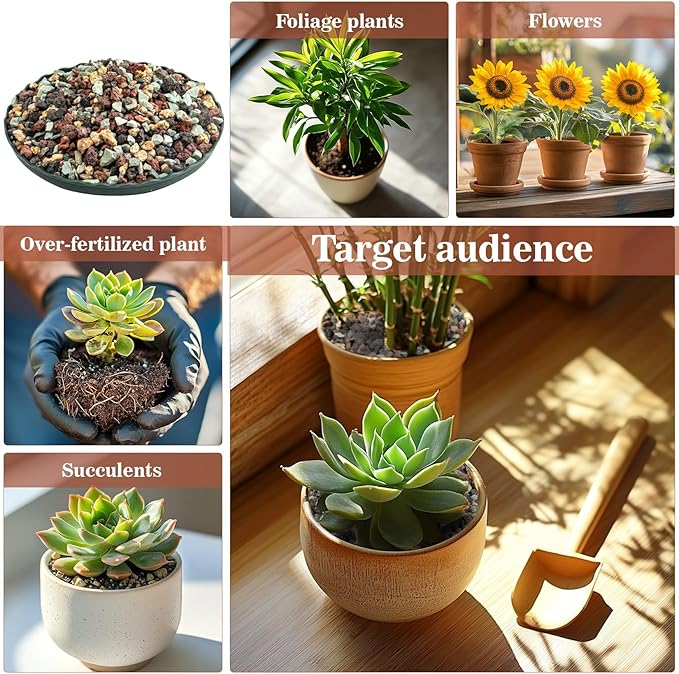 Sukh 2LBS Horticultural Succulent Rocks Bonsai Mix Succulent Potting Mix Lava Rocks Cactus Soil Potting Mix Amendment.