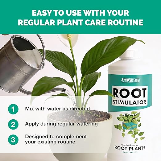 Root Stimulator for Houseplants – Liquid Root Supplement with Kelp & Probiotics for Stronger Roots & Better Nutrient Uptake, 8 oz