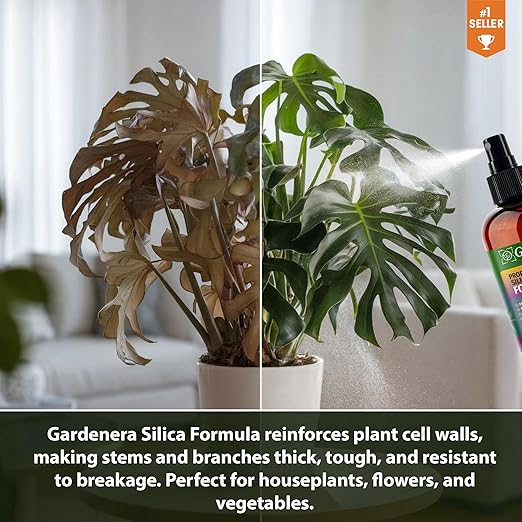𝐏𝐑𝐄𝐌𝐈𝐔𝐌 Liquid Silica Plant Supplement - 8oz (250mL) - Tropical Plants Liquid Silica Boost Fertilizer - Stronger Stems & Healthy Leaves for Indoor & Outdoor Tropical Plants (Makes 45 Gallons)