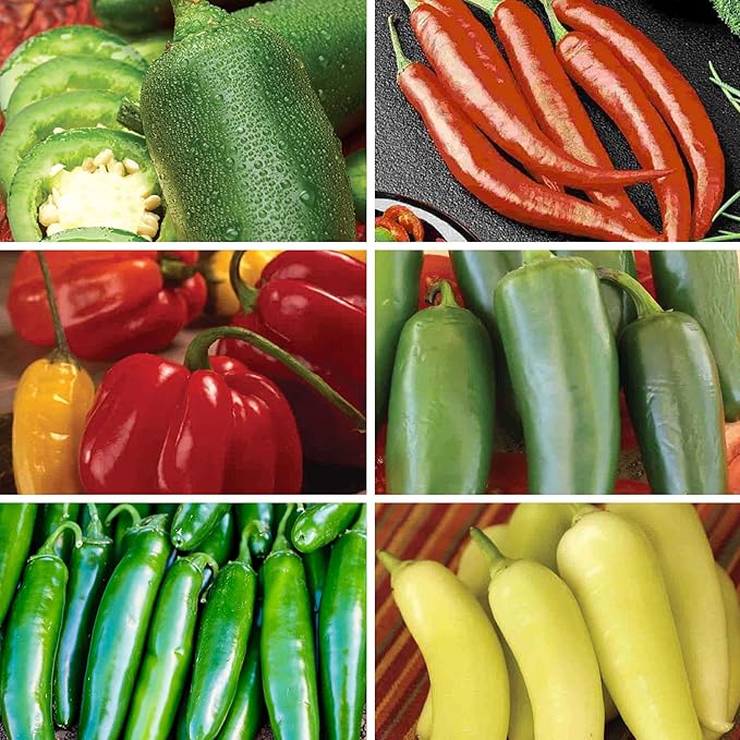 Ferry-Morse Pepper Enthusiast Non-GMO Seed Variety Pack - 6 Pack