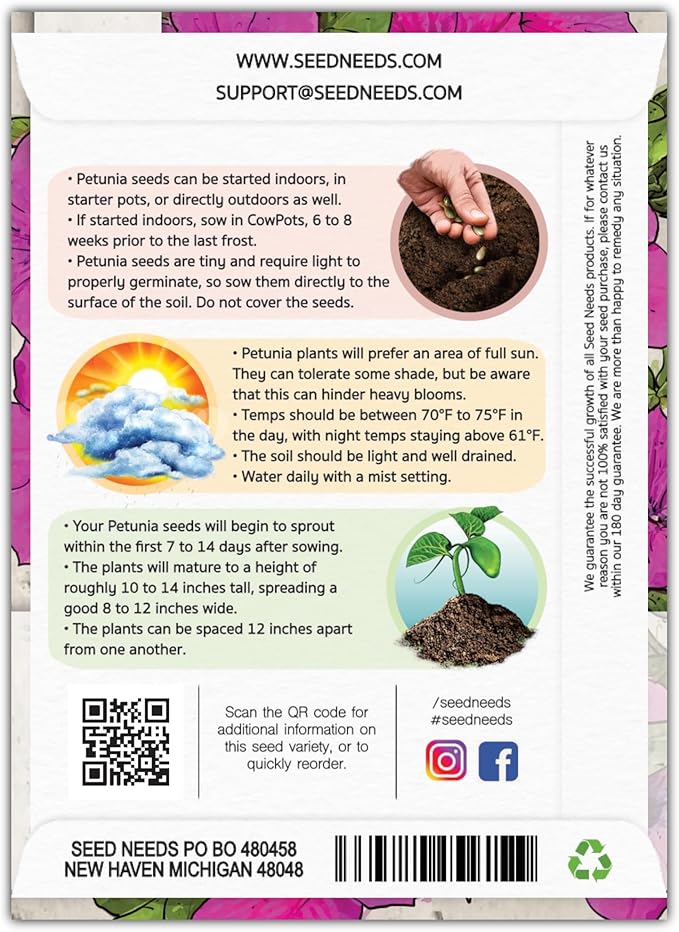 Seed Needs, Wild Petunia Seeds - 2,000 Heirloom Seeds for Planting Petunia violacea - Annual Flowers, Perfect for Beds, Borders, Pots & Containers (2 Packs)