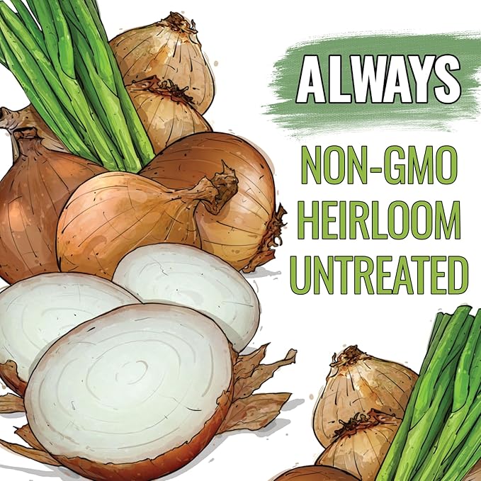 Seed Needs Onion Seeds for Planting Walla Walla Long Day Onions - Non-GMO Heirloom & Untreated Vegetable Seeds to Plant an Outdoor Home Grown Veggie Garden (5 Packs)