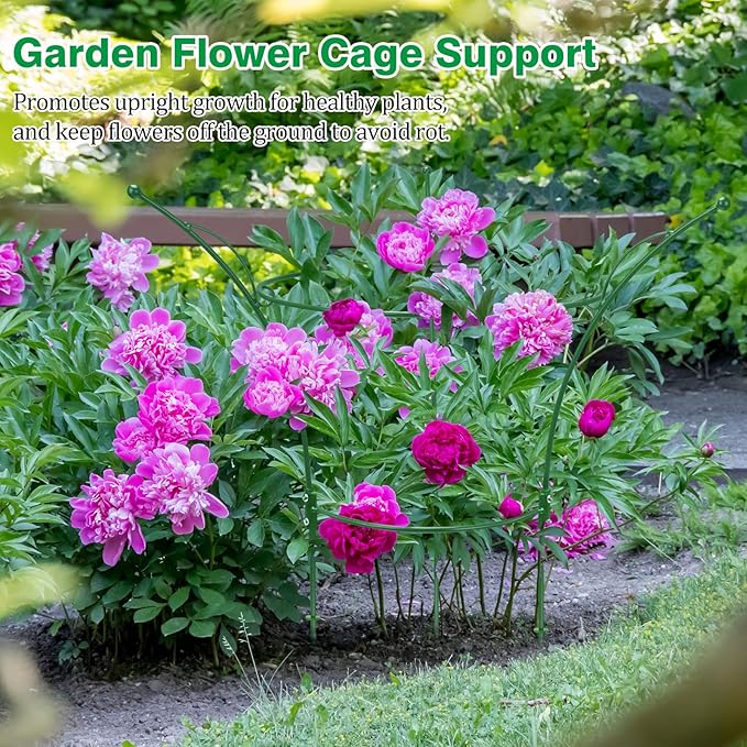 2 Pack Peony Cages and Supports Cages 13" D x 22.8" H Sturdy Metal Support Frame for Peonies & Roses Natural Bouquet Shape Garden Stakes for Outdoor Plants Flowers Ornamental (Green)