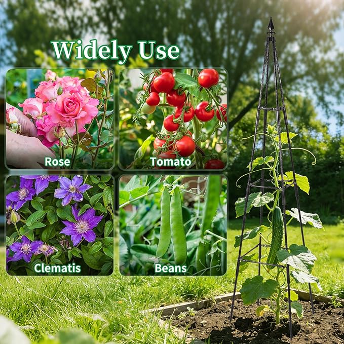 Garden Trellis for Climbing Plants Outdoor, 67" Tall Cucumber Trellis Tomato Plant Support for Climbing Vine, for Raised Bed, Black, 1 Pack