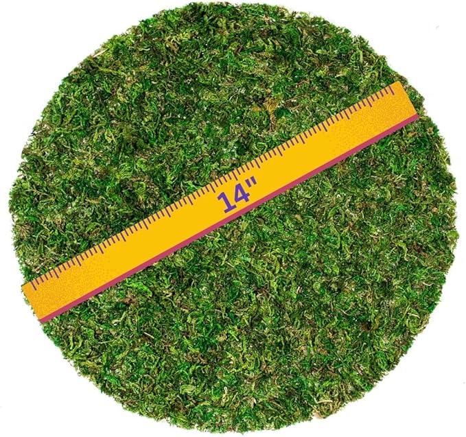 SuperMoss (26320) Moss Soil Toppers (Place Mats), Fresh Green, 14" (3 units)