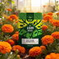Orange Marigold Seeds for Planting, 1500 Flower Seeds, Pollinator-Friendly, Ideal for Balconies Window Boxes Garden Beds and Edging