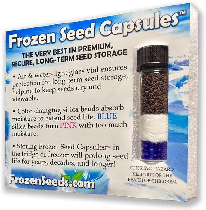 Frozen Seed Capsules - St. John's Wort (Hypericum perforatum) - Grow Now or Store for Future Planting - Capsule of 200 Seeds