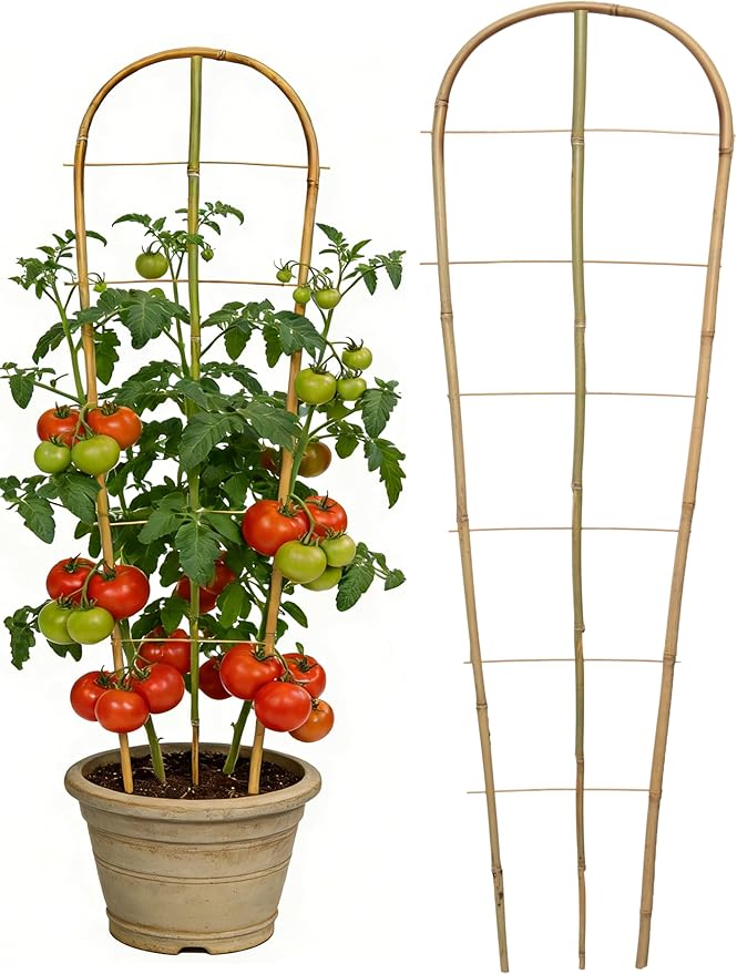4 Pack 4.8 Ft Natural Bamboo U-Shaped Trellis, Oltara Plant Support Trellis for Outdoor, Garden, Climbing Plants, Vines, Potted Plants, Flowers