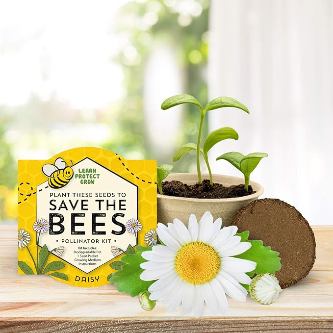 BUZZY Seeds 12 Pack Save The Bees Wildflower Grow Kits – 12 Biodegradable Pots with an Assortment of Coneflower, Zinnia, Daisy, Cosmos Seeds, Pollinator Garden Starter, Sustainable Party Favors