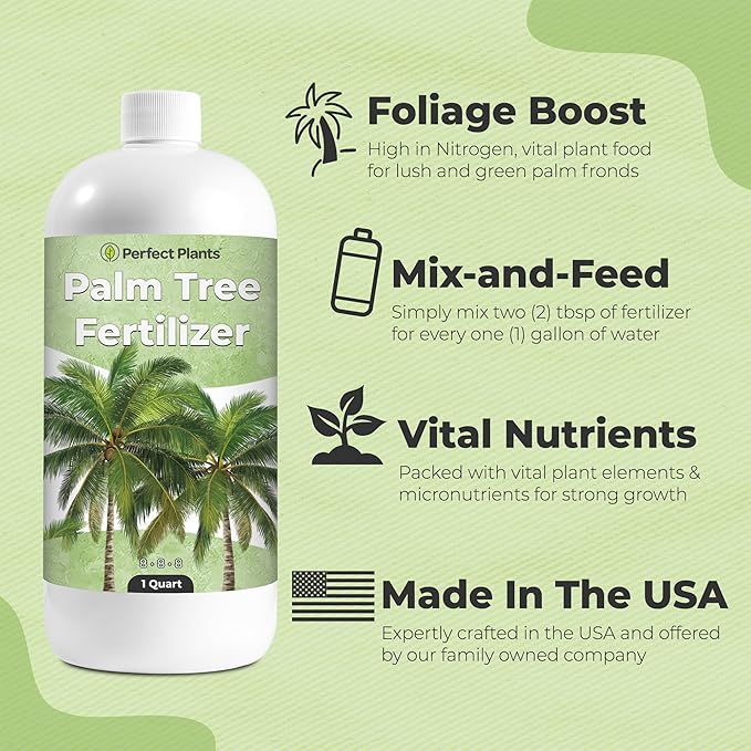 Liquid Palm Tree Fertilizer by Perfect Plants | Feed All Indoor or Outdoor Palms with Nutrient Dense Food | for Species Including Windmill, Sago, Ponytail, Majesty, & More | NPK 8-8-8 (1 Qt)