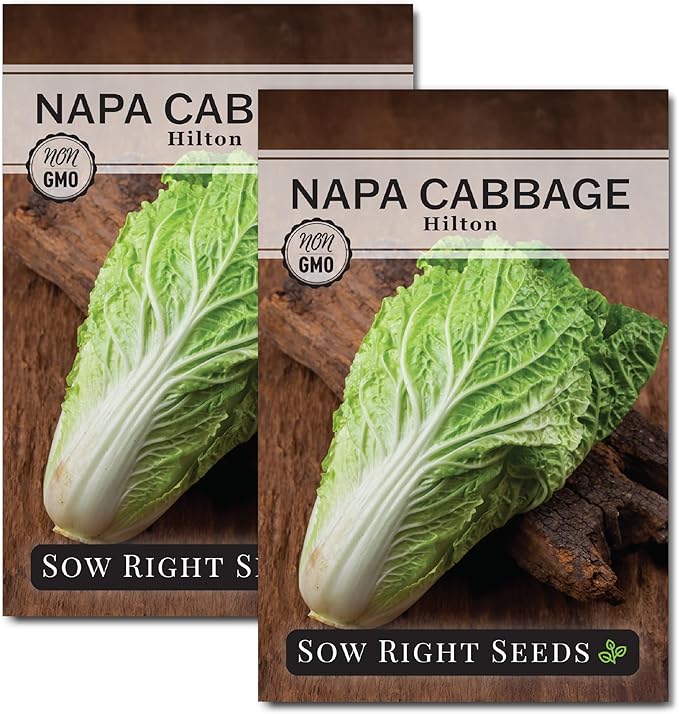 Sow Right Seeds - Hilton Cabbage Seeds for Planting Outdoors - Culinary Asian Variety - Non-GMO Heirloom Chinese Napa Cabbage - Easy Grow Garden & Home Use for Healthy & Delicious Recipes (2)