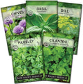 Sow Right Seeds - 5 Herb Seed Collection for Planting - Genovese Basil, Chives, Cilantro, Italian Parsley, and Dill to Plant and Grow a Home Vegetable Garden - Fresh Assortment Herbal Variety Pack
