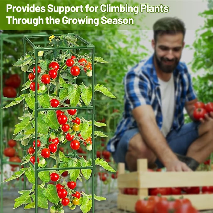 Legigo 2 Pack Square Tomato Cages- 45 Inch Heavy Duty Tomato Trellis for Climbing Plants Outdoor, Tomato Plant Support Stakes Cage Garden Trellis for Garden Raised Garden Bed Cucumbers Vegetables