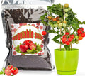 Organic Vegetable Soil Mix 1qt, Indoor Plants Potting Mix for All Potted Vegetable Like Tomatoes Lettuce Bell Peppers, Grow Healthy houseplants Indoors