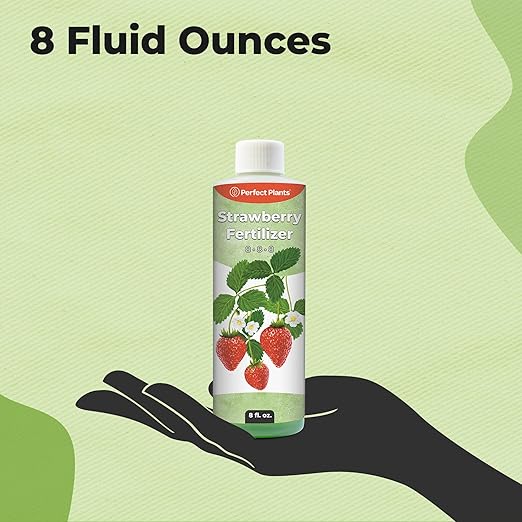 Strawberry Plant Fertilizer by Perfect Plants | Best Liquid Fruit Plant Food for Strawberries | for Acid Loving Berry Bushes in Your Backyard Farm (8 fl oz)