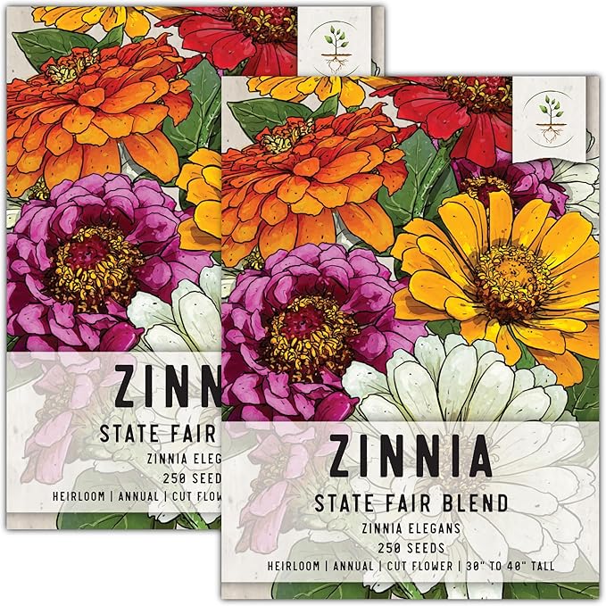 Seed Needs, Mixed State Fair Zinnia Seeds - 250 Heirloom Seeds for Planting Zinnia Elegans - Annual Flowers to Attract Butterflies & Other Pollinators, Great Cut Flower (2 Packs)