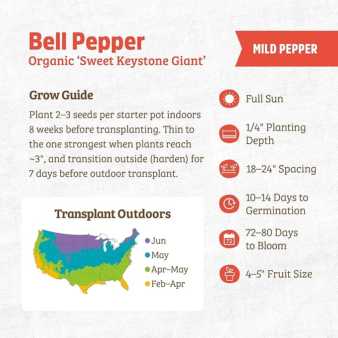 Back to The Roots 100% Organic Heirloom Seeds - Keystone Resistant Giant Bell Pepper Value Pack (280mg Total)