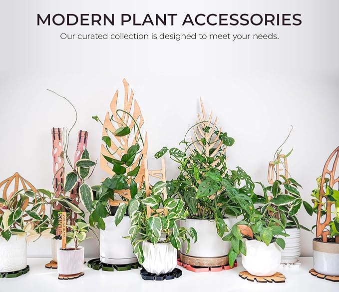 Treleaf Palmella Palm Leaf Inspired Wooden Trellis – Regular Size Indoor Plant Support for Climbing Plants – 12” Decorative Houseplant Trellis and Wooden Plant Stake for Potted Vines