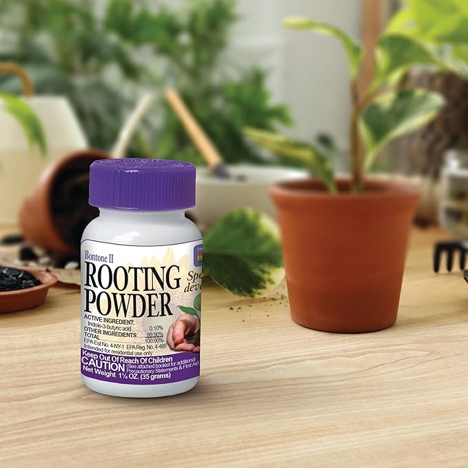 Bonide Bontone II Rooting Powder, 1.25 oz Ready-to-Use Dust for Houseplants and Transplants Speeds Root Development (Pack of 4)
